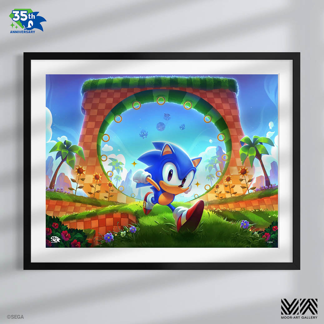 Sonic the Hedgehog: First Loop-de-Loop' by Alex Forrest - Ltd