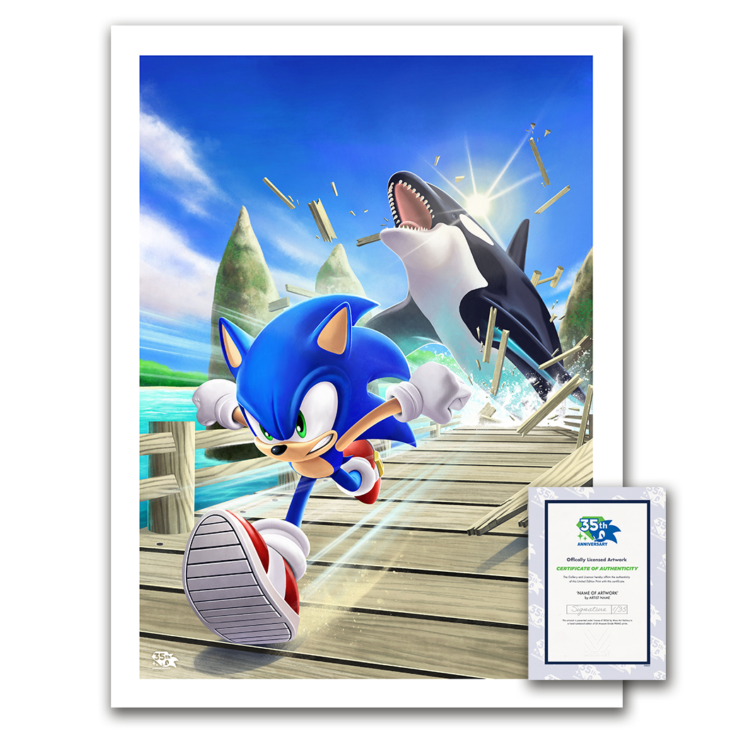 Sonic the Hedgehog: The Whale Chase' by Liza Shumska - Ltd Edition