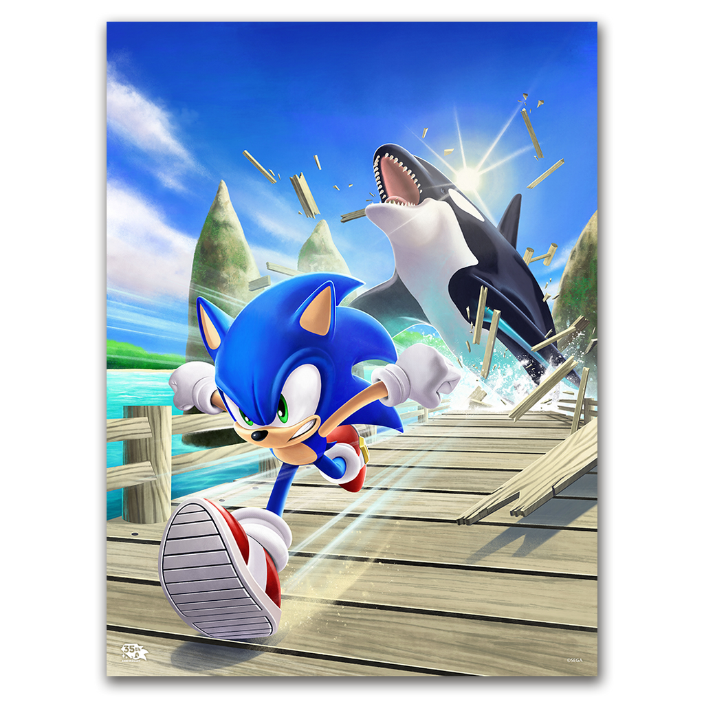 Sonic the Hedgehog: The Whale Chase' by Liza Shumska - Ltd Edition