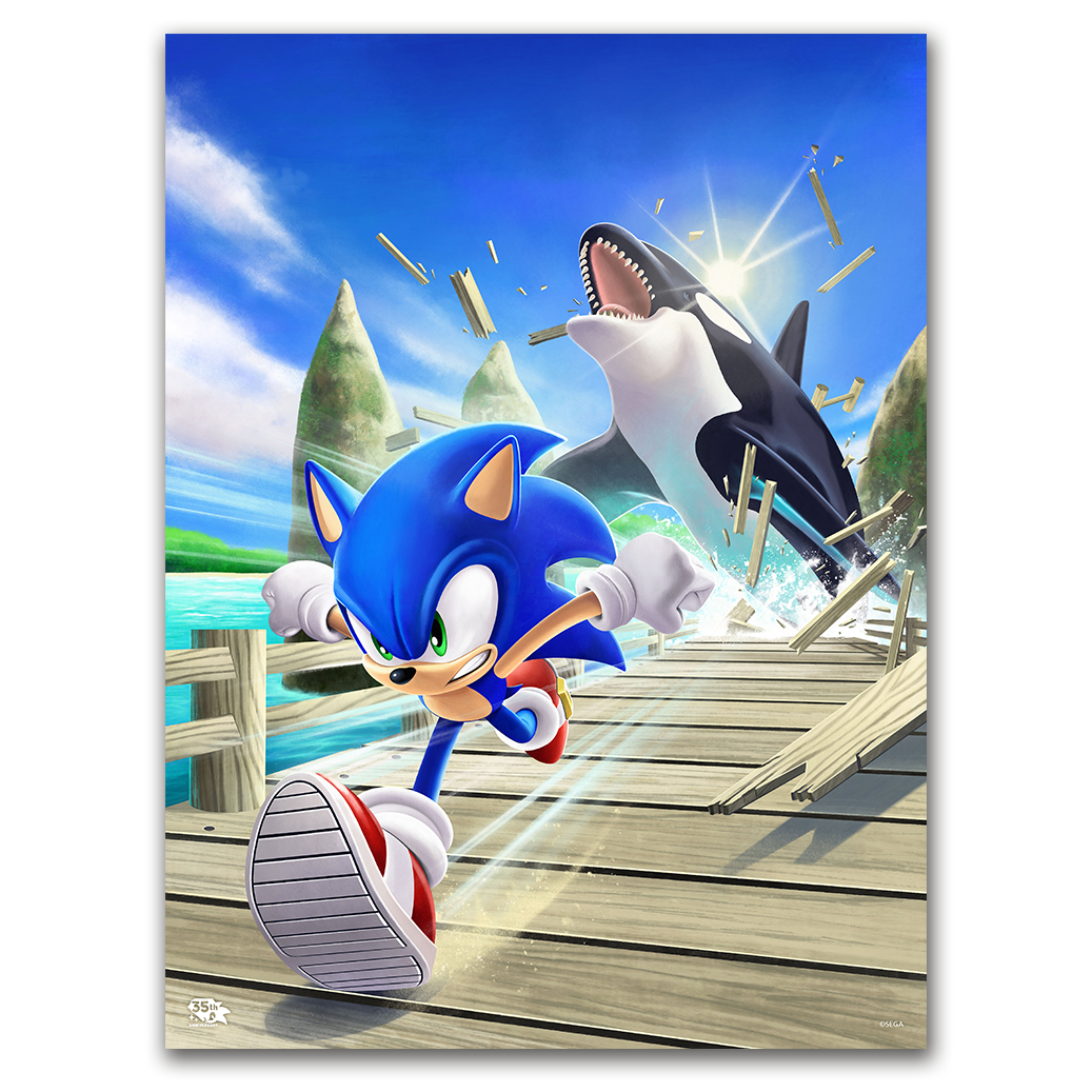 Sonic the Hedgehog: The Whale Chase' by Liza Shumska - Ltd Edition