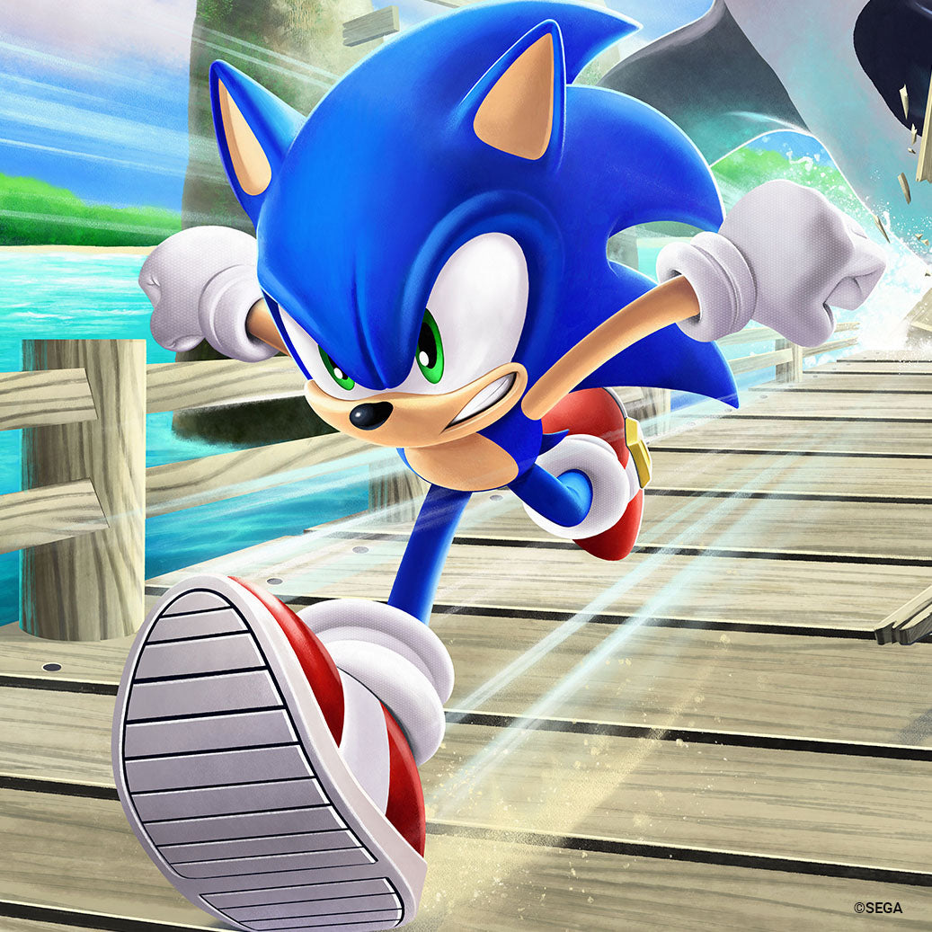 Sonic the Hedgehog: The Whale Chase' by Liza Shumska - Ltd Edition