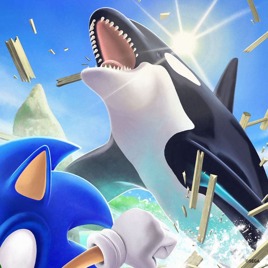Sonic the Hedgehog: The Whale Chase' by Liza Shumska - Ltd Edition
