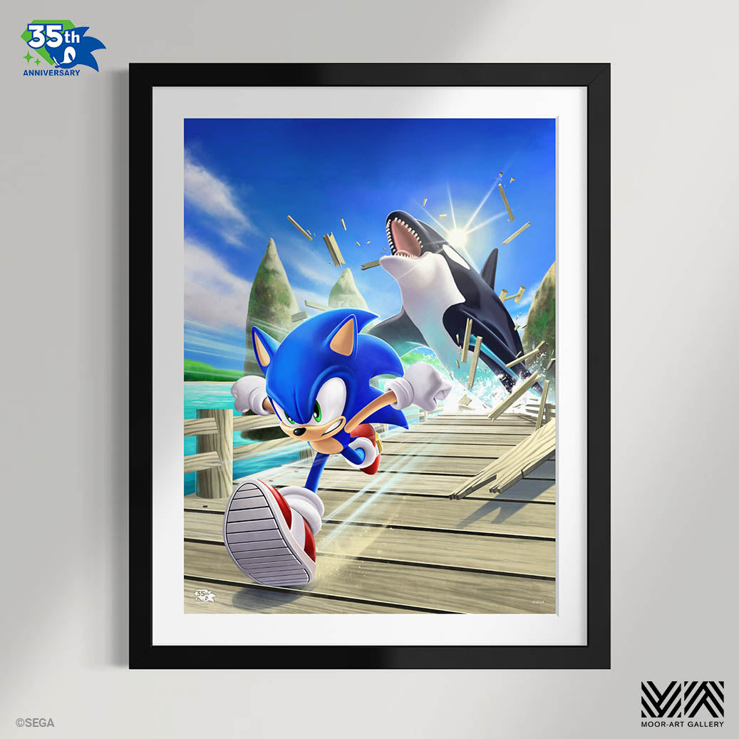 Sonic the Hedgehog: The Whale Chase' by Liza Shumska - Ltd Edition